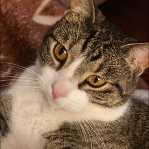 Meet your Posher, Cheryl